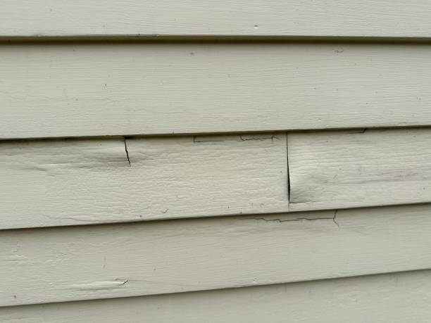Best Insulated Siding Installation  in Black Earth, WI